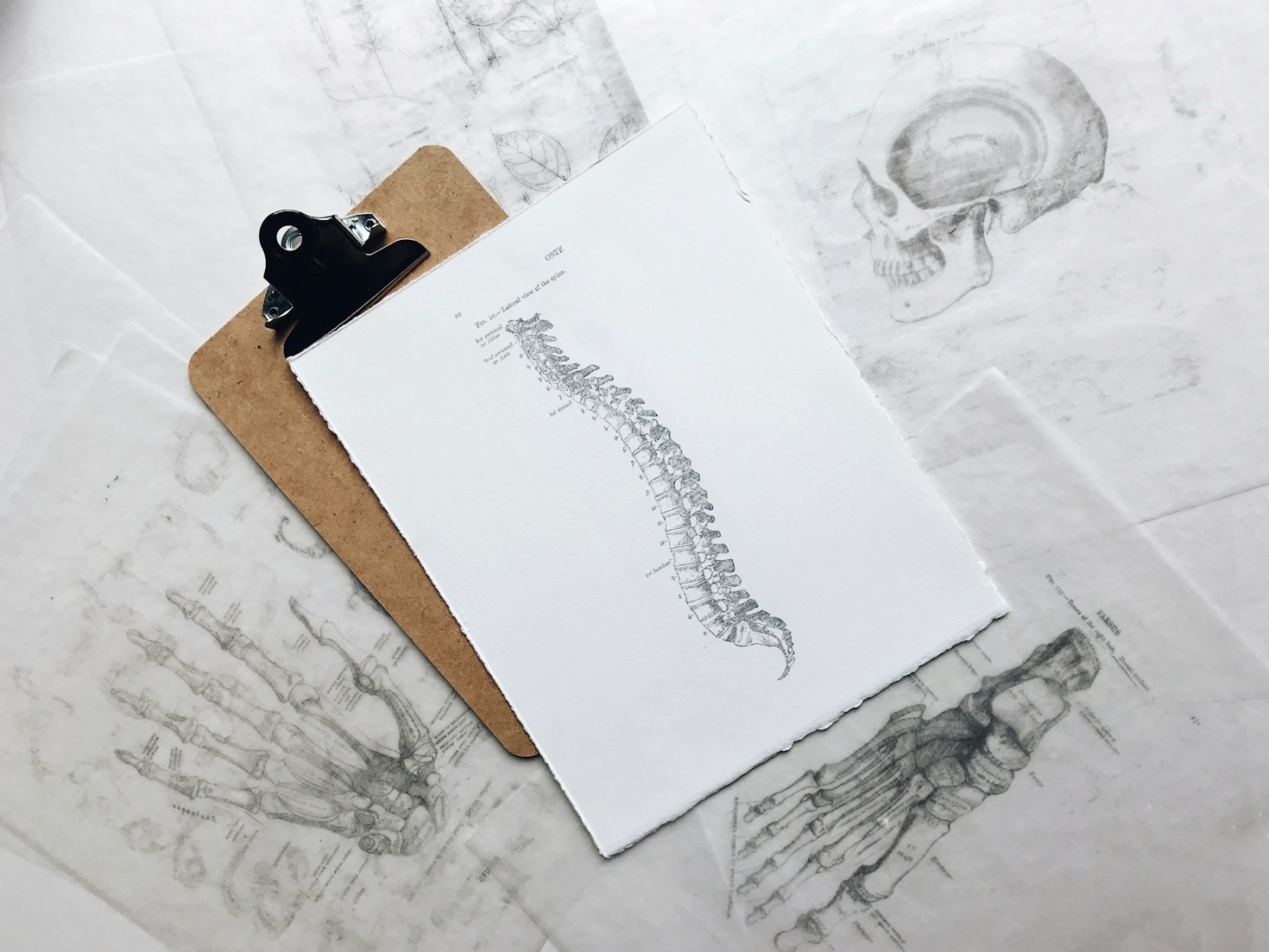 Five Signs You Need Chiropractic Treatment