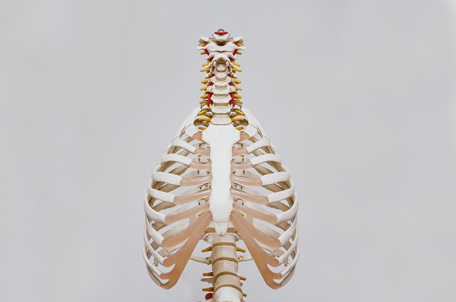 Understanding the Role of Chiropractors in Overall Health